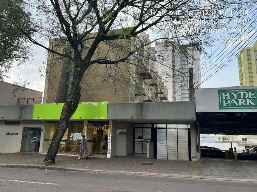 Imagem leilão