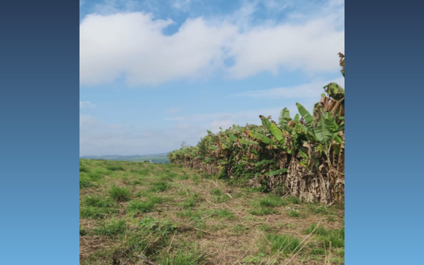 Terreno rural de 24.200m² — Boa Esperança/MG em Boa Esperança/MG - foto 4