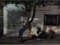Imagem leilão