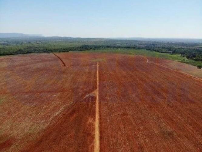 Imagem leilão