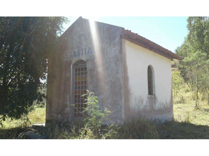 Imagem leilão