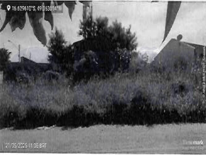 Imagem leilão