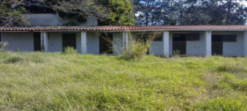 Imagem leilão