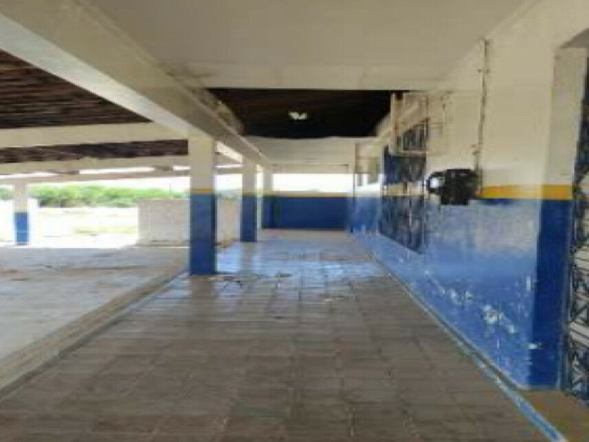 Imagem leilão