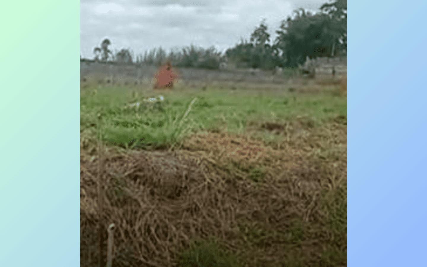 3 Terrenos Urb 2500m² cada Brasília/DF em Brasília/DF - foto 8