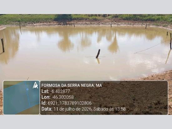 Imagem leilão