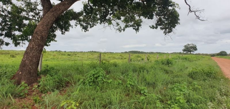 IMÓVEL RURAL COM ÁREA DE 1.899,2700HAS, "FAZENDA VALENT.. em Rosário Oeste/MT - foto 17