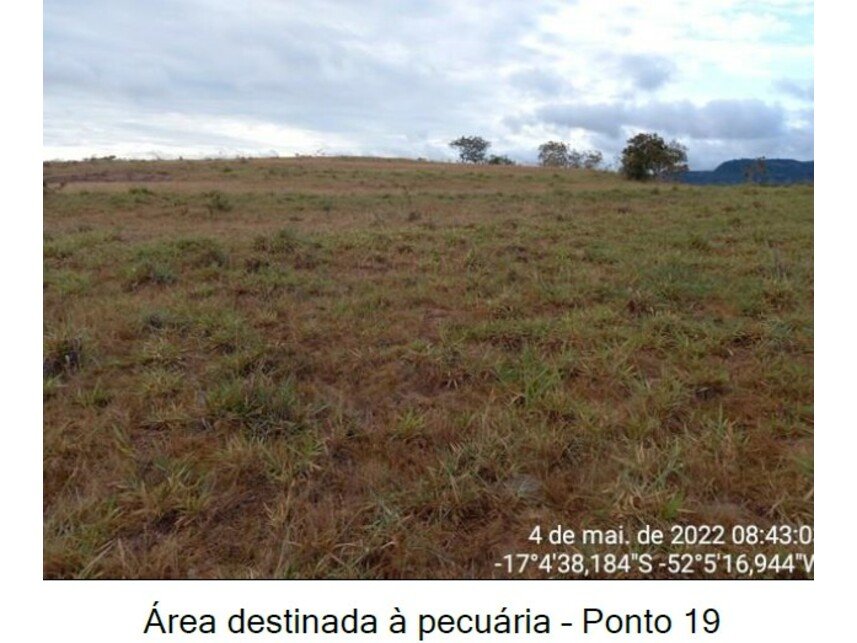 Imagem leilão