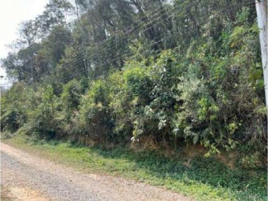 Imagem leilão