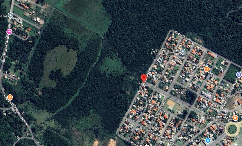 Imagem leilão