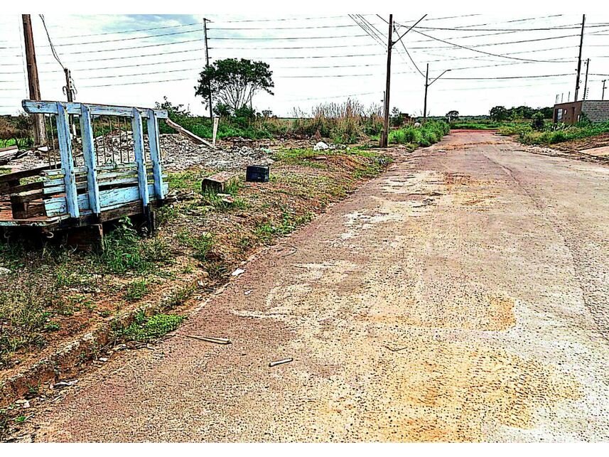 Imagem leilão