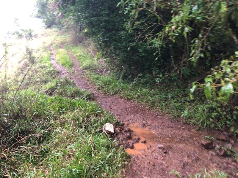 A FRAÇÃO IDEAL DE 50% (128.750,00M²) SOBRE O LOTE RURAL.. em Erval Grande/RS - foto 4