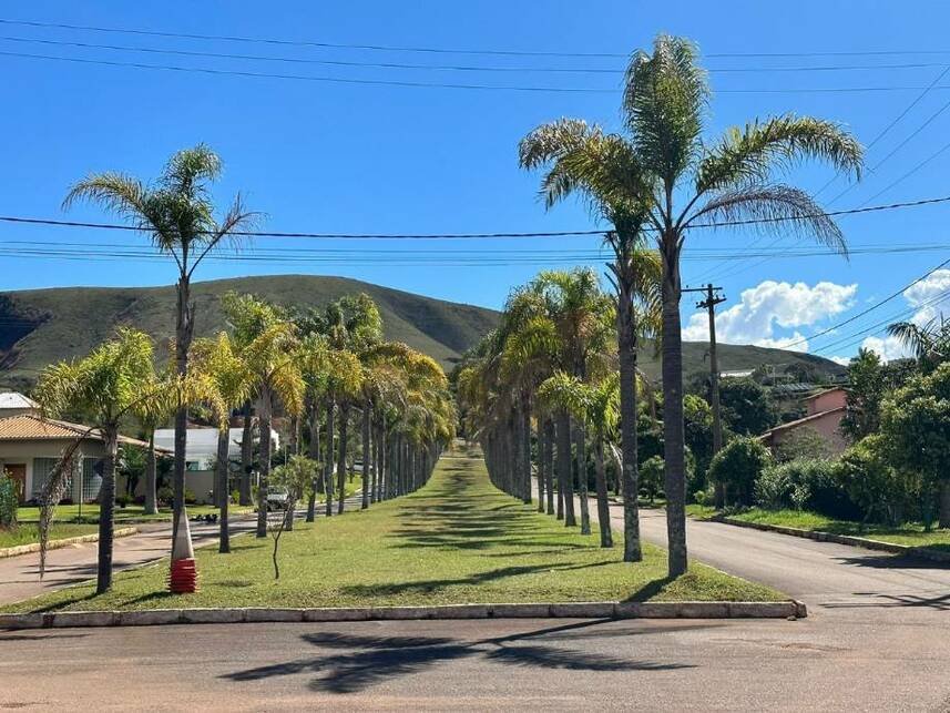 Imagem leilão
