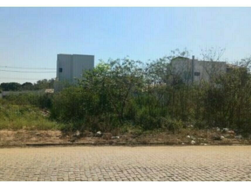 Imagem leilão