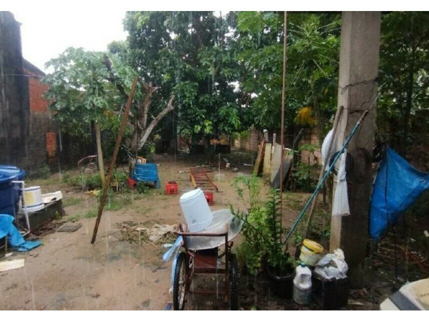 Imagem leilão