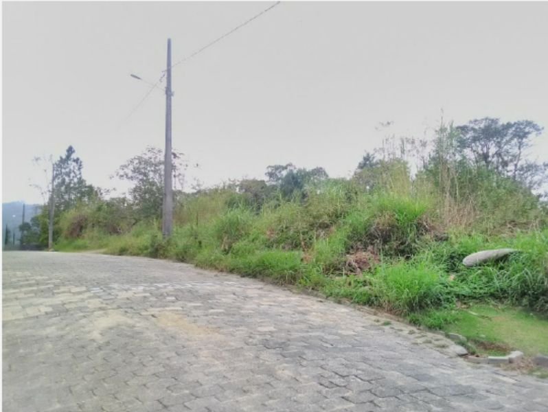 Imagem leilão