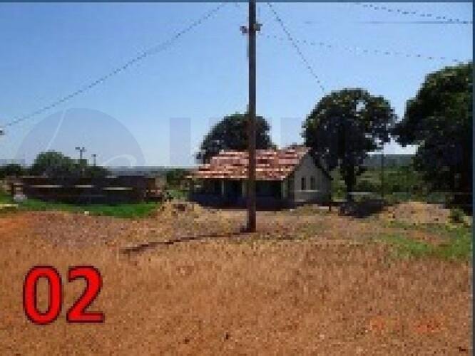 Imagem leilão