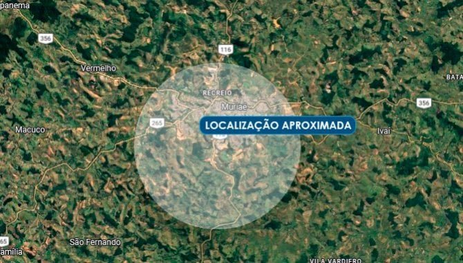 Imagem leilão
