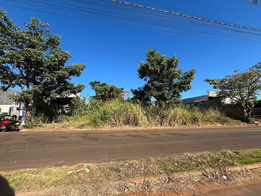 Imagem leilão