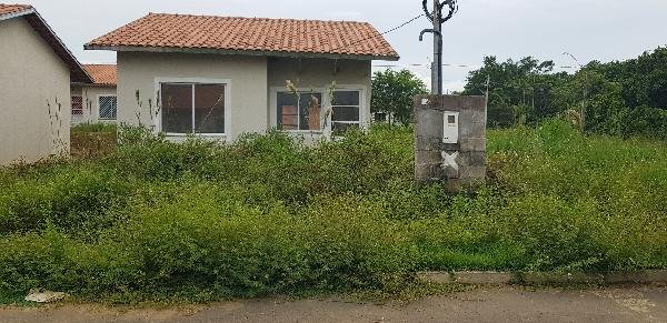 Imagem leilão