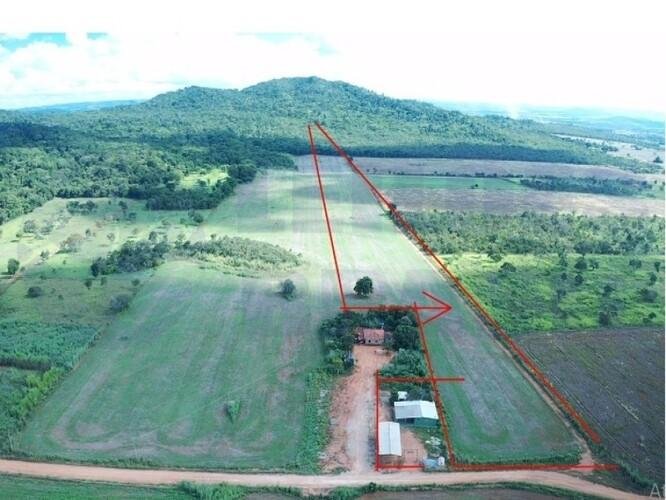 Imagem leilão