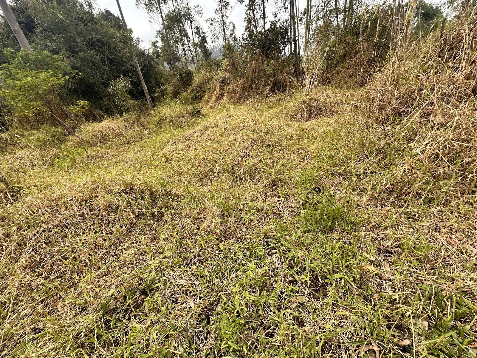 LOTE COMPOSTO 02 IMOVEIS URBANOS em Doutor Pedrinho/SC - foto 7