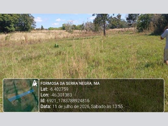 Imagem leilão