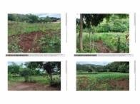 Imóvel Rural c/ 29.000m² - Santa Izabel do Oeste/PR em Santa Izabel do Oeste/PR