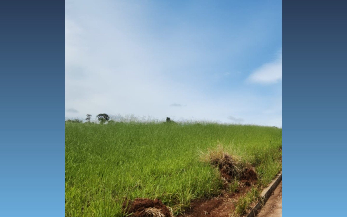 Terreno de 1.000m² — São Sebastião da Bela Vista/MG em São Sebastião da Bela Vista/MG - foto 4