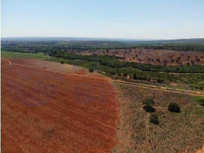 Imagem leilão