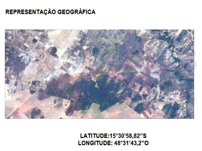 Imagem leilão