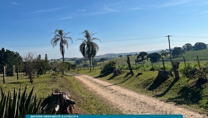 Parte Ideal (50%) sobre Imóvel Rural 271 ha (Fazenda São José Domingos Savio) - Campina - em Itapetininga/SP - foto 4