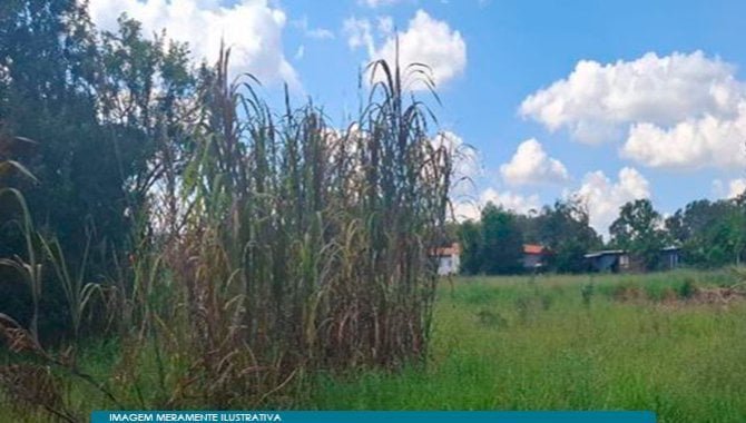 Imagem leilão