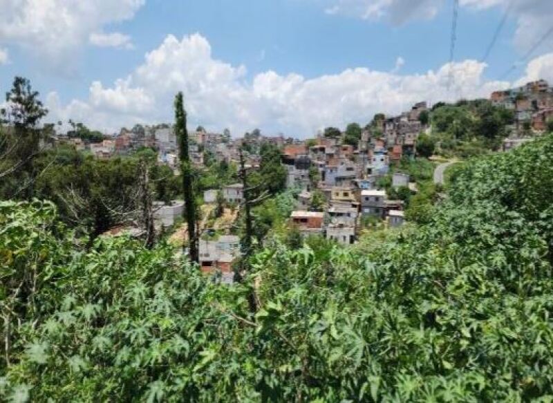 Imagem leilão