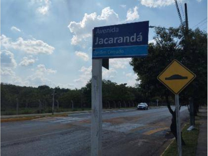Imagem leilão