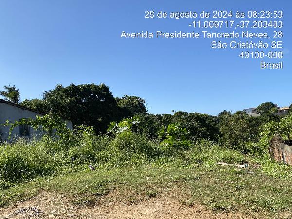 Imagem leilão