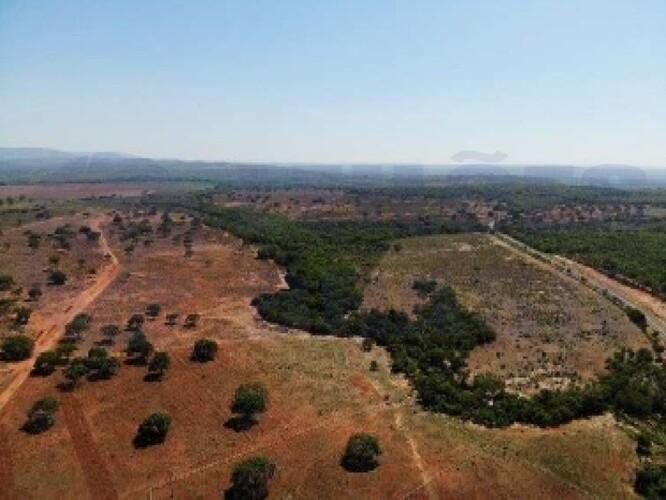 Imagem leilão