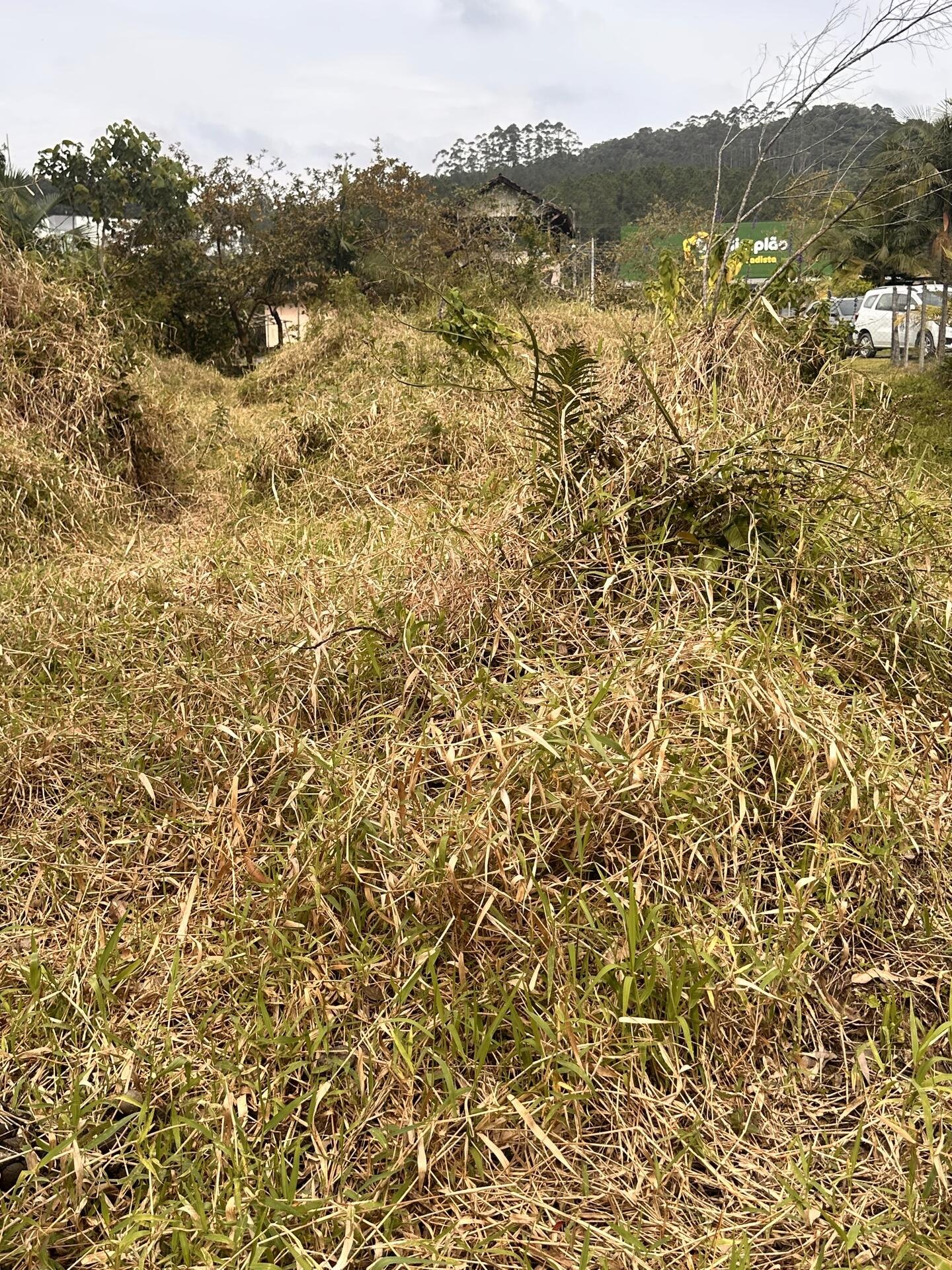 LOTE COMPOSTO 02 IMOVEIS URBANOS em Doutor Pedrinho/SC - foto 10