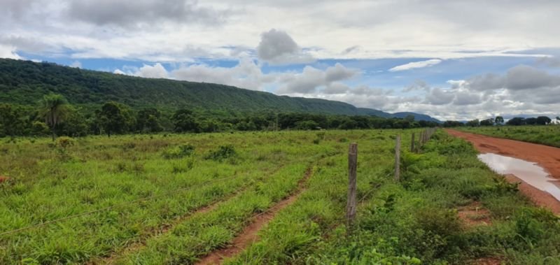 IMÓVEL RURAL COM ÁREA DE 1.899,2700HAS, "FAZENDA VALENT.. em Rosário Oeste/MT - foto 14