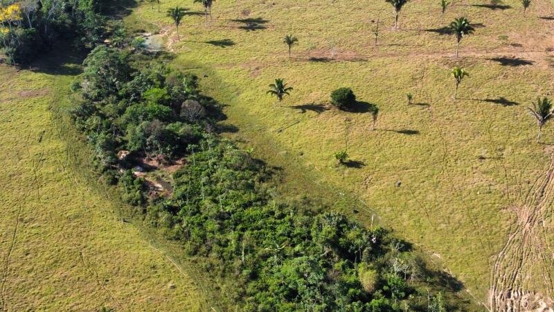 IMÓVEL RURAL COM 53,3362ha EM OURO PRETO DO OESTE/RO em Ouro Preto do Oeste/RO - foto 6