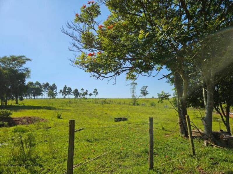 Terreno em Morro da Fumaça/SC - foto 14