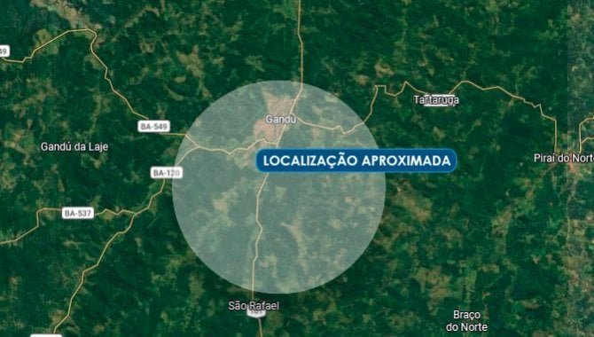 Imagem leilão