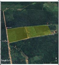 Imóvel rural, 0.00 de área total, 0.00 de área privativa, 265931.00 de área do terreno. em Curimatá/PI