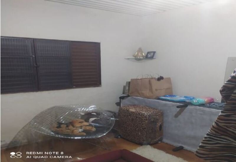 Imagem leilão