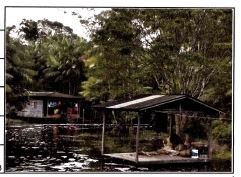 Imóvel rural, 0.00 de área total, 0.00 de área privativa, 333000.00 de área do terreno. em Anajás/PA