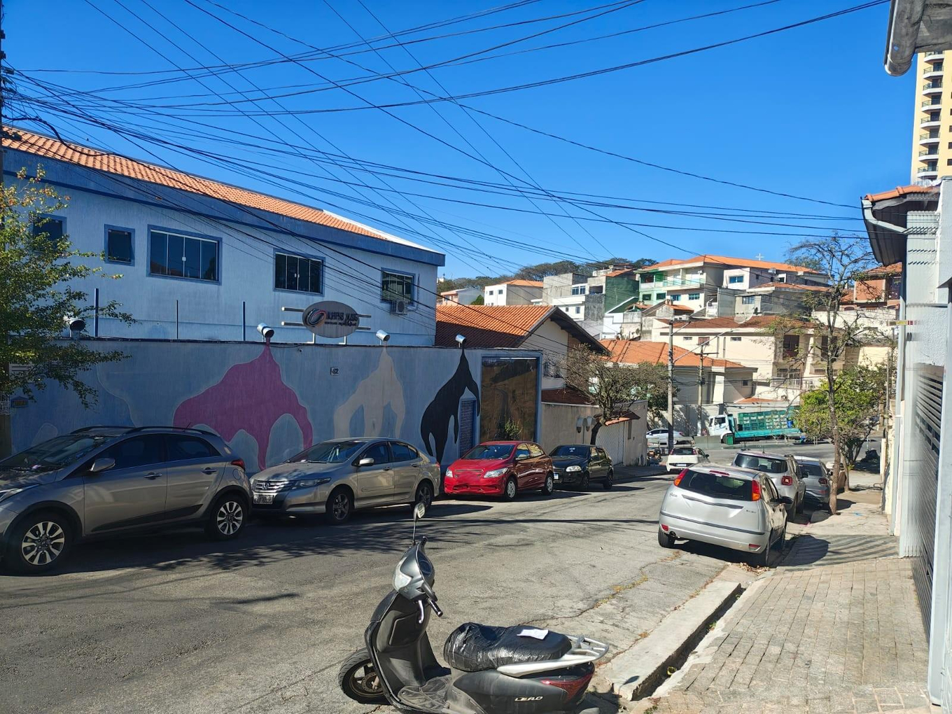 Imagem leilão