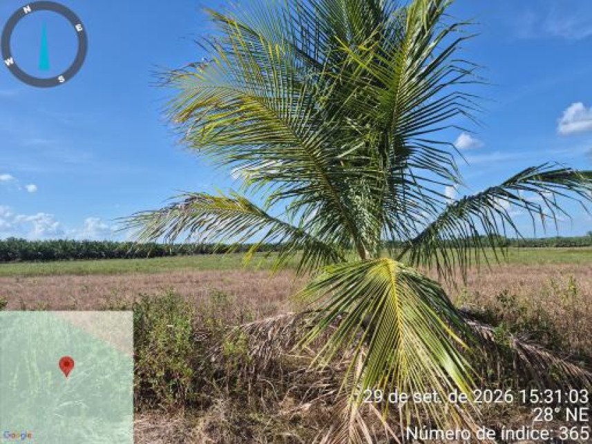 Área Rural à venda em leilão - Colônia Tailândia, Km 25, s/n - Interior - Tailândia / PA em Tailândia/PA - foto 7