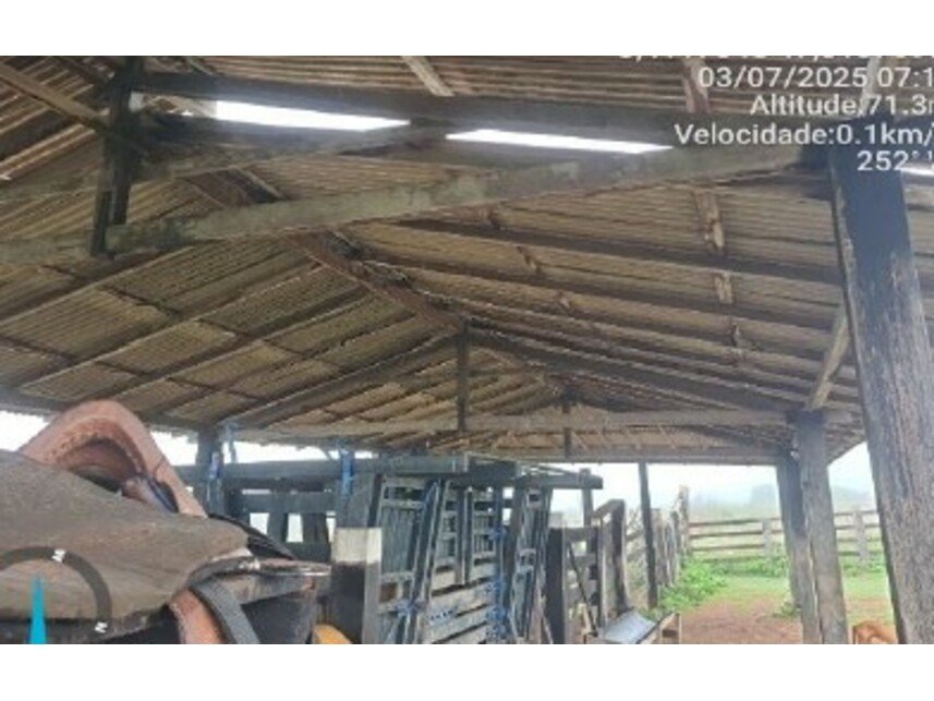 Imagem leilão