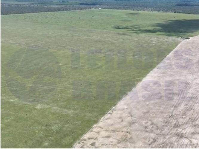 Imagem leilão