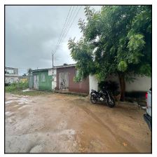 Imagem leilão